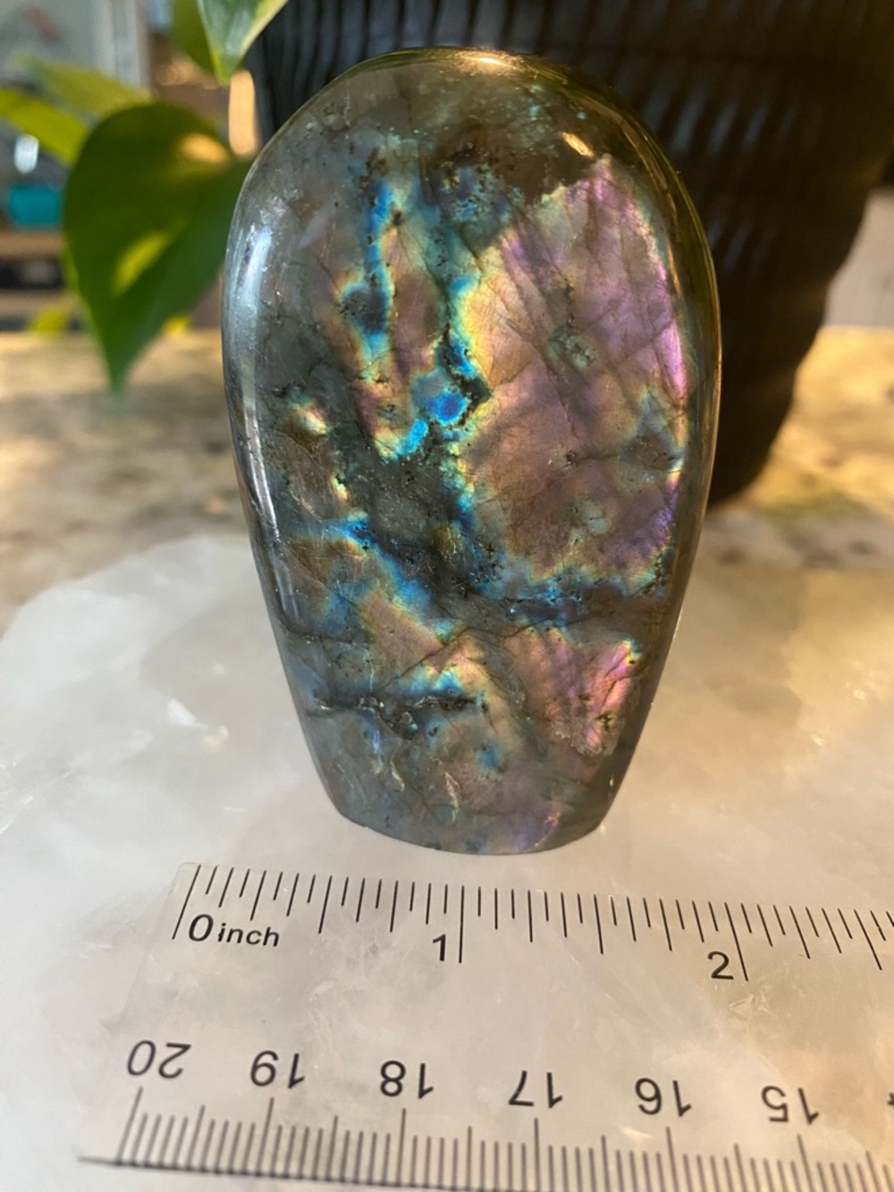 Labradorite Free Form - Picture 9 of 10